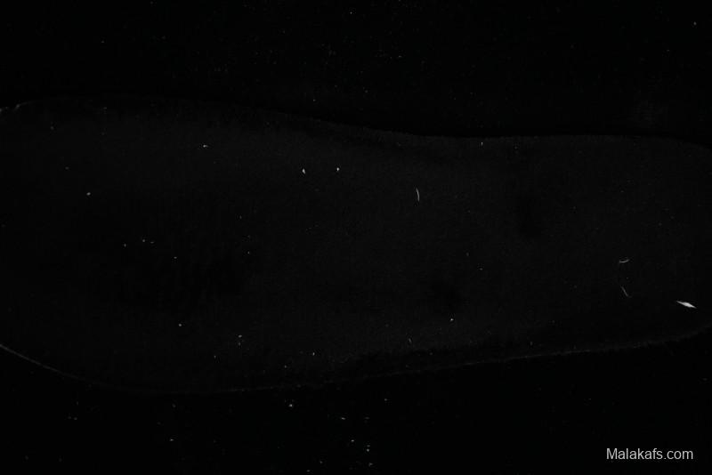 GG-CC Versatile Comfort Commute Fleece Lined Plush Shoes - G23Y6905