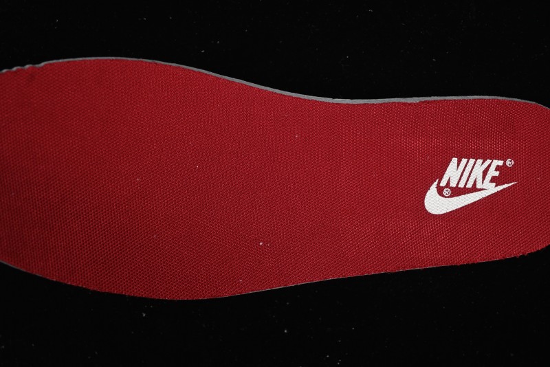 Nike SB Dunk Low The North Face Collaboration Anniversary Edition Custom Sneakers - DM6868-043