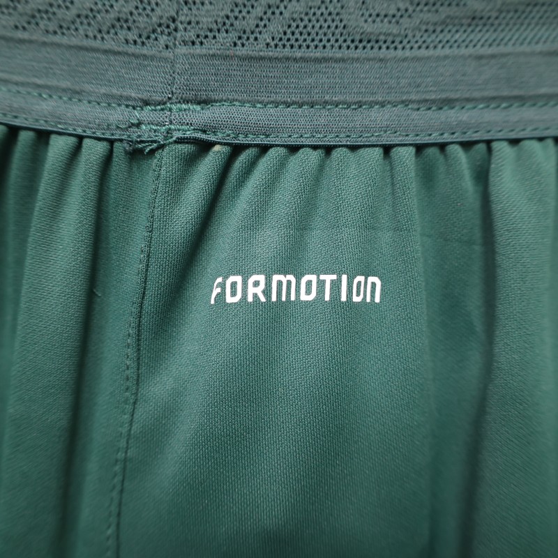 Player Version  2026 Italy National Team  Training Green Shorts